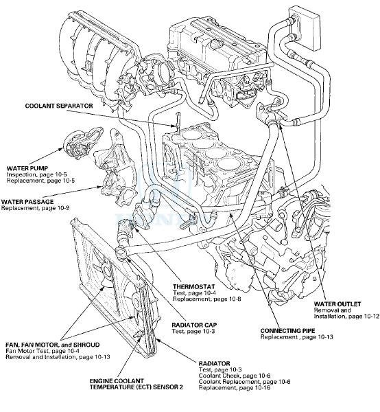 Radiator Cap Test