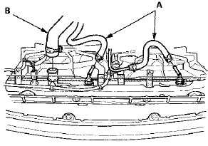 8. Disconnect the lower radiator hose (B) from the