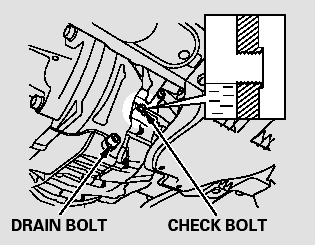 Remove the check bolt and look for