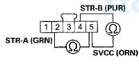 Wire side of female terminals