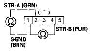 Wire side of female terminals