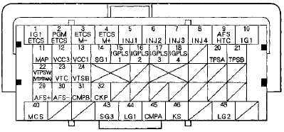 Terminal side of female terminals