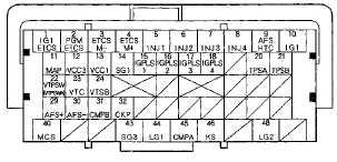 Terminal side of female terminals